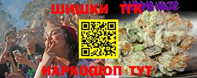 гашик Будённовск