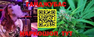 гашик Будённовск