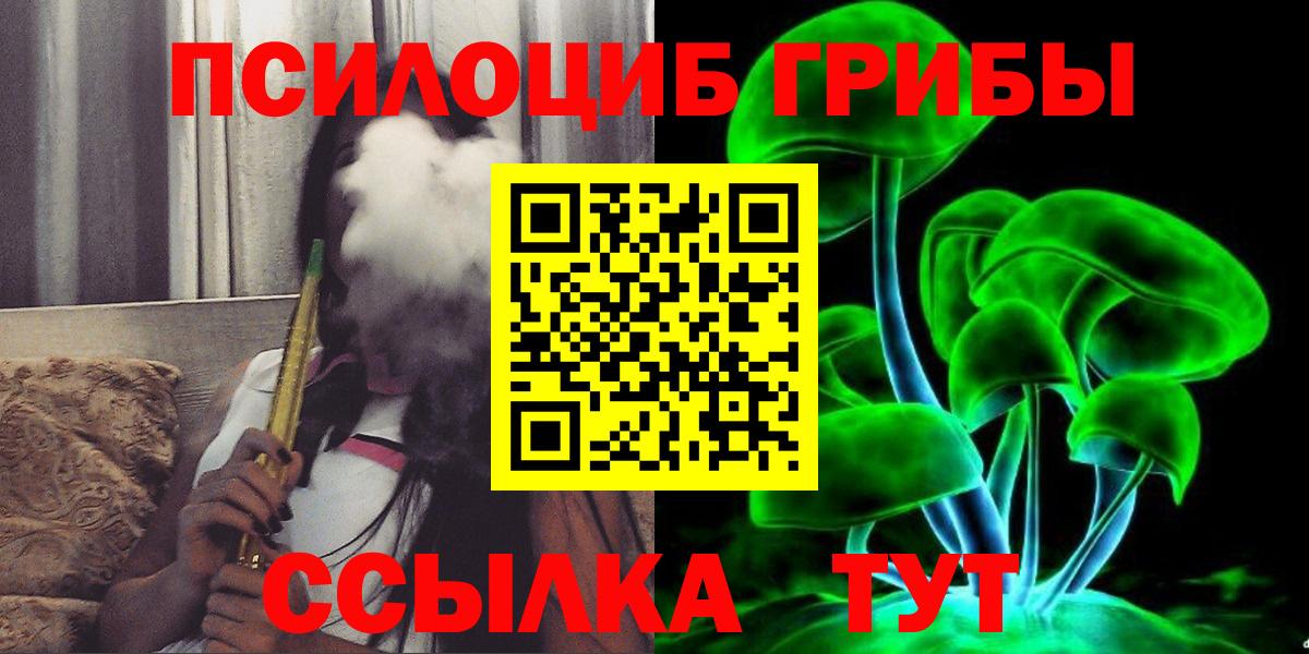 Псилоцибиновые грибы GOLDEN TEACHER Георгиевск
